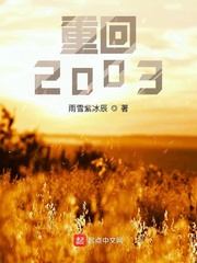 重回2003年唐青华下载小说